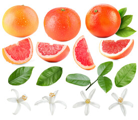 Fresh grapefruits, green leaves and flowers on white background, collage