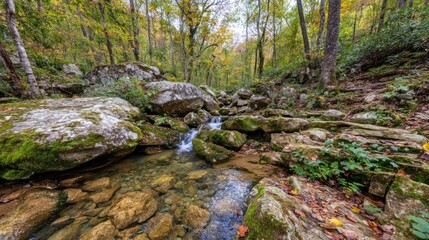Autumnal forest stream (1)