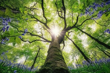 Sunlight shining through tall tree branches in vibrant green forest with purple flowers in foreground creating a peaceful and refreshing atmosphere