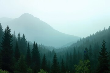 Obraz premium Misty Mountainous Forest Landscape with Towering Pine Trees and Ethereal Fog Filled Valleys Stretching into the Distance