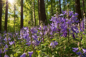 Photo of purple wildflowers bathed in sunlight create a magical scene in a lush forest
