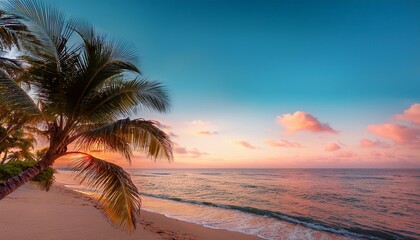 Fototapeta premium sunset and palm trees on the beach against the soft pink tropical sky over the blue pacific ocean water