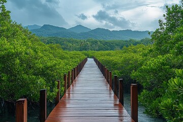 Fototapeta premium Long wooden boardwalk cutting through dense green mangrove forest leading towards distant mountains under a cloudy sky, evoking peaceful and serene atmosphere