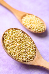 Yellow millet grain in wooden spoon on purple background, Food ingredient