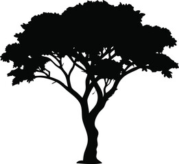 Black Tree Silhouette with Twisting Branches and Lush Foliage