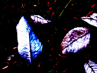 Fallen Dry Leaves Illustration. Autumnal Darkness Art. Illustration of fallen dry leaves in the darkness.