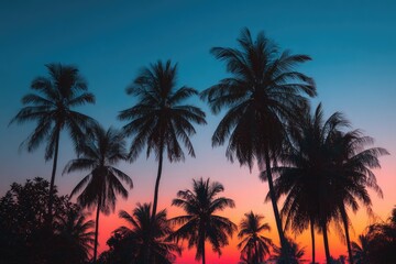 Obraz premium Silhouetted palm trees stand tall against a vibrant, multicolored sunset sky, creating a picturesque tropical scene
