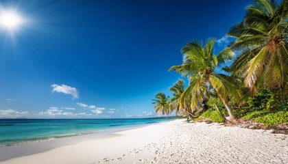 Naklejka premium beautiful white sand beach with palm trees on a sunny hot and clear day