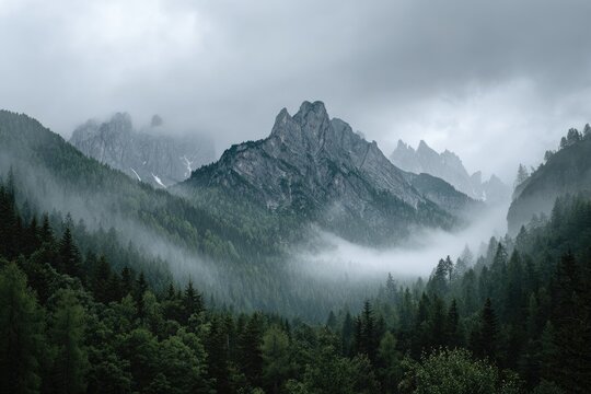 Misty mountain range shrouded in fog, with lush green forests in the valley below, under a cloudy sky