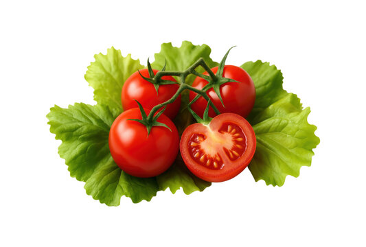 Fresh Red Tomatoes on Vine with Sliced Tomato and Crisp Green Lettuce Leaves for Salad or Cooking, Isolated on Transparent and White Background