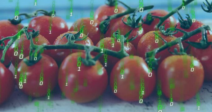 Cherry tomatoes receiving cascading binary code overlay, camera zooming forward for tech demo