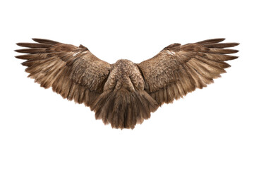 Obraz premium Eagle soaring over mountains nature scene aerial