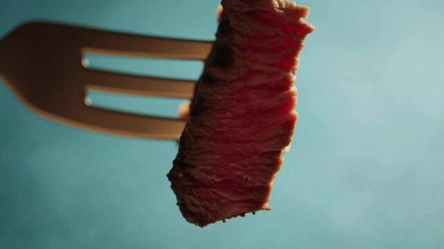 steak meat on fork