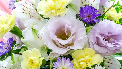 初夏の花々：爽やか、パステルカラー

