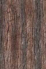 Obraz premium Close-up view of a textured surface resembling tree bark, showing deep vertical cracks and variations in brown and gray tones. The image is seamless, suggesting it's a repeating pattern