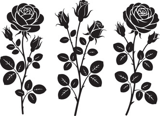 Romantic Rose Flower Silhouette Vector Design

Single Blooming Rose Black Outline Illustration

Vintage Rose Silhouette for Wedding and Valentine

Minimal Line Art Rose Flower Vector Clipart

Elegant 