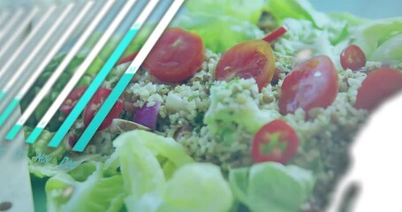 Scrolling code sliding bars, fading pie chart, linking nodes map on salad plate showing nutrition - Powered by Adobe