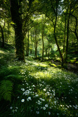 Naklejka premium A Symphony of Light and Life: Enchanting Woodland Oasis Revealed in Vivid Color Composition