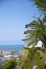 【滋賀県】彦根城櫓と琵琶湖と空