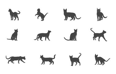 Bengal cat svg, Bengal cat silhouette, Bengal cat vector, Bengal cat clipart, Cat silhouette, Cat vector. 
