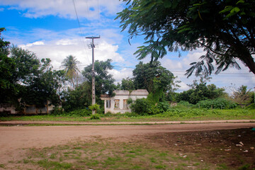 Fototapeta premium abandoned house, ruins of a simple and old house, house in a rural area, surrounded by dense vegetation and trees, old rural house surrounded by greenery, countryside landscape with vintage home 