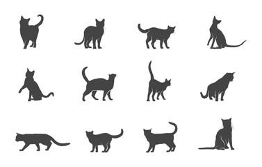 Siamese cat svg, Siamese cat silhouette, Siamese cat vector, Siamese cat clipart, Cat silhouette, Cat vector. 