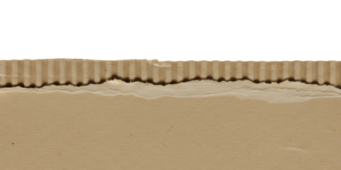 Close-up of torn corrugated cardboard edge against a white background, revealing the inner fluting.