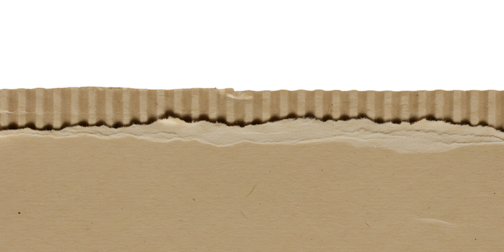 Close-up of torn corrugated cardboard edge against a white background, revealing the inner fluting.