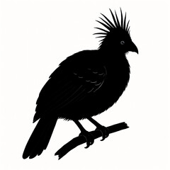 Fototapeta premium This striking silhouette showcases a crested bird perched on a branch, highlighting its unique feathers. Perfect for wildlife, nature, exotic birds, and forest themes. Ideal for animal art, eco-design