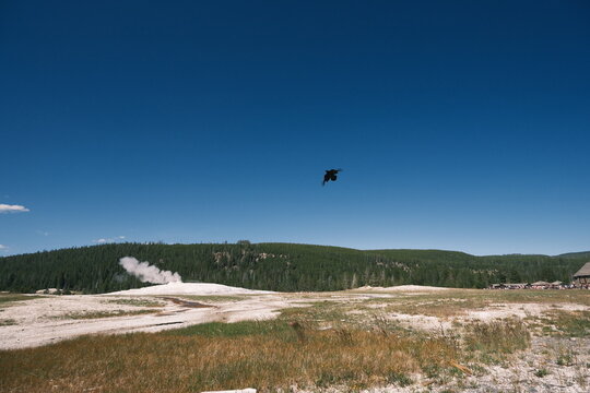 paragliding in the mountains