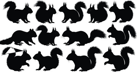 Set of squirrel silhouettes, isolated vector illustration, black squirrel poses, sitting and standing squirrels, bushy tails, nature wildlife design