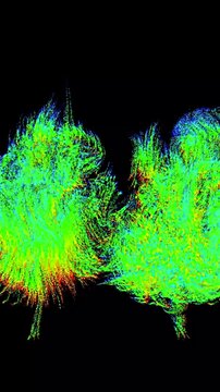 seasonal explosion: living liquid [dynamic tree buds] vertical