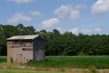 Once This Was a Barn. Tabor City NC 2025