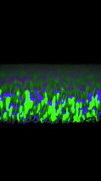 elemental life: infinite grass [renewal cycle] vertical