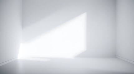 Sunlit corner White rooms minimalist serenity