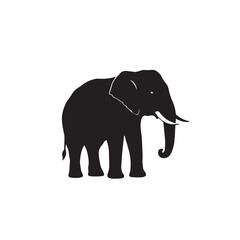 Fototapeta premium elephant silhouette vector and black elephant vector, animal, isolated, big, wild, large, walking, huge, heavy, safari, silhouette, standing
