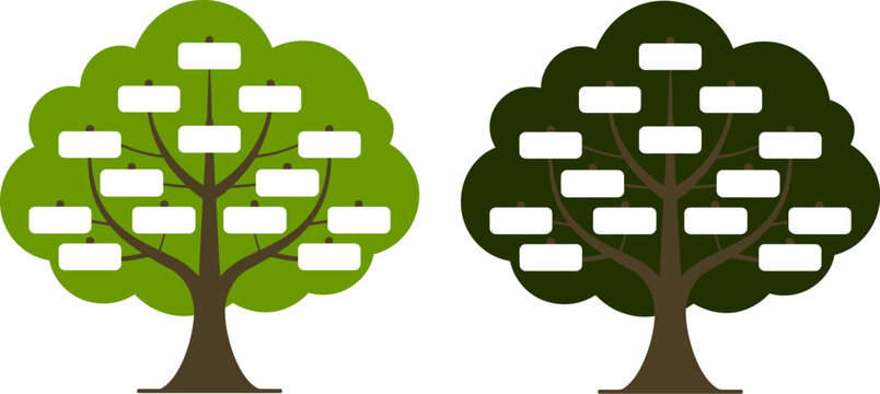 Family tree chart genealogy pedigree ancestor descendant diagram template blank infographic design 100 vector