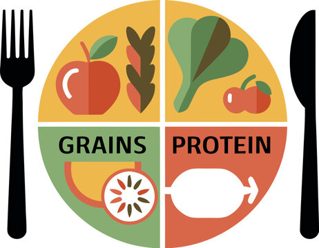Understanding the myplate food guide for balanced diet and healthy eating habits and meal planning tips vector