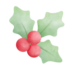christmas holly berries