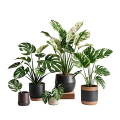 Obraz premium Tropical Variegated Monstera Leaf with Unique Color Patterns for Home Decor, Generative AI