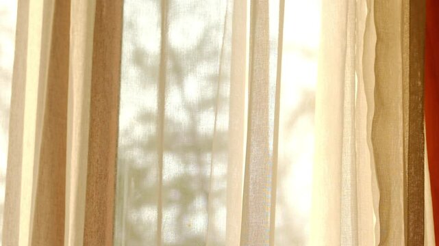 woman's hand She opened the curtains on the window. There was morning light through the window in her room, looking at the view of the mountains and trees as the sun rose	
