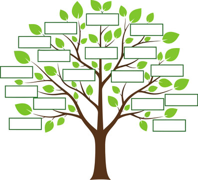Family tree template download editable genealogy chart blank pedigree ancestry diagram maker free