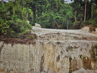Deforestation caused by a new road being built through pristine tropical rainforest, where the...
