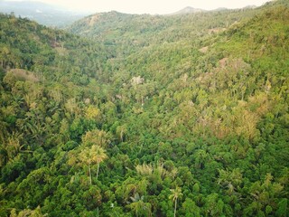Aerial view of tropical rainforest and mountains in rural Indonesia from drone