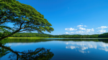 Serene Landscape View of Calm Water Beneath Clear Blue Sky with Lush Green Trees and Fluffy White Clouds Reflecting in Tranquil Lake Surface