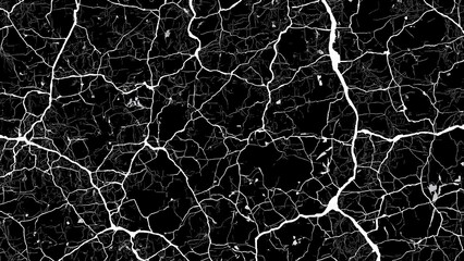 Fototapeta premium Abstract Black and White Cracked Texture Background High-Resolution Image