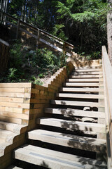 stairs and wood road in National Park