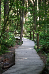 stairs and wood road in National Park