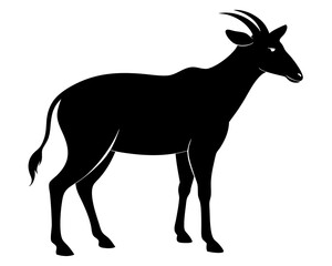 nilgai black silhouette vector