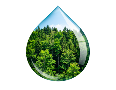 Forests Inside a Water Droplet Symbolizing Environmental Conservation Isolated on White or Transparent Background PNG